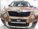 Защита радиатора Skoda Yeti