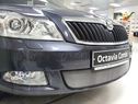 Skoda Oktavia А5 2009-2012 chrome