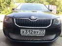 Защита радиатора Skoda Octavia A7 Active и Ambition без ПТФ с 2013г. хром