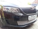 Skoda Oktavia А7 2013- Active 2013- chrome