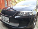 Защита радиатора Skoda Octavia A7 Active и Ambition без ПТФ с 2013г. хром