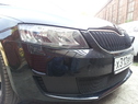 Защита радиатора Skoda Octavia A7 Active и Ambition без ПТФ с 2013г.