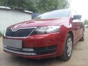 Skoda Rapid 2014- chrome