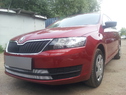 Защита радиатора Skoda Rapid 2014г. хром