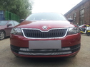 Защита радиатора Skoda Rapid 2014г. хром