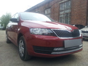 Защита радиатора Skoda Rapid 2014г. хром