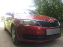 Защита радиатора Skoda Rapid 2014г.