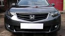 Защита радиатора Honda Accord VIII 2008-2012 black