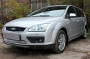 Защита радиатора Ford Focus (II) 2005-2008 ( 2 части)  chrome