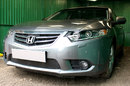 Защита радиатора Honda Accord VIII (рестайлинг) 2011-2013 black