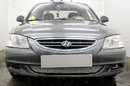 Защита радиатора Hyundai Accent (ТагАЗ) II 2001-2012г.в. chrome