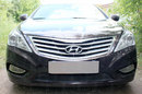 Защита радиатора Hyundai Grandeur V 2011- black