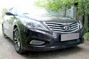 Защита радиатора Hyundai Grandeur V 2011- black