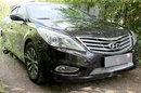 Защита радиатора Hyundai Grandeur V 2011- chrome